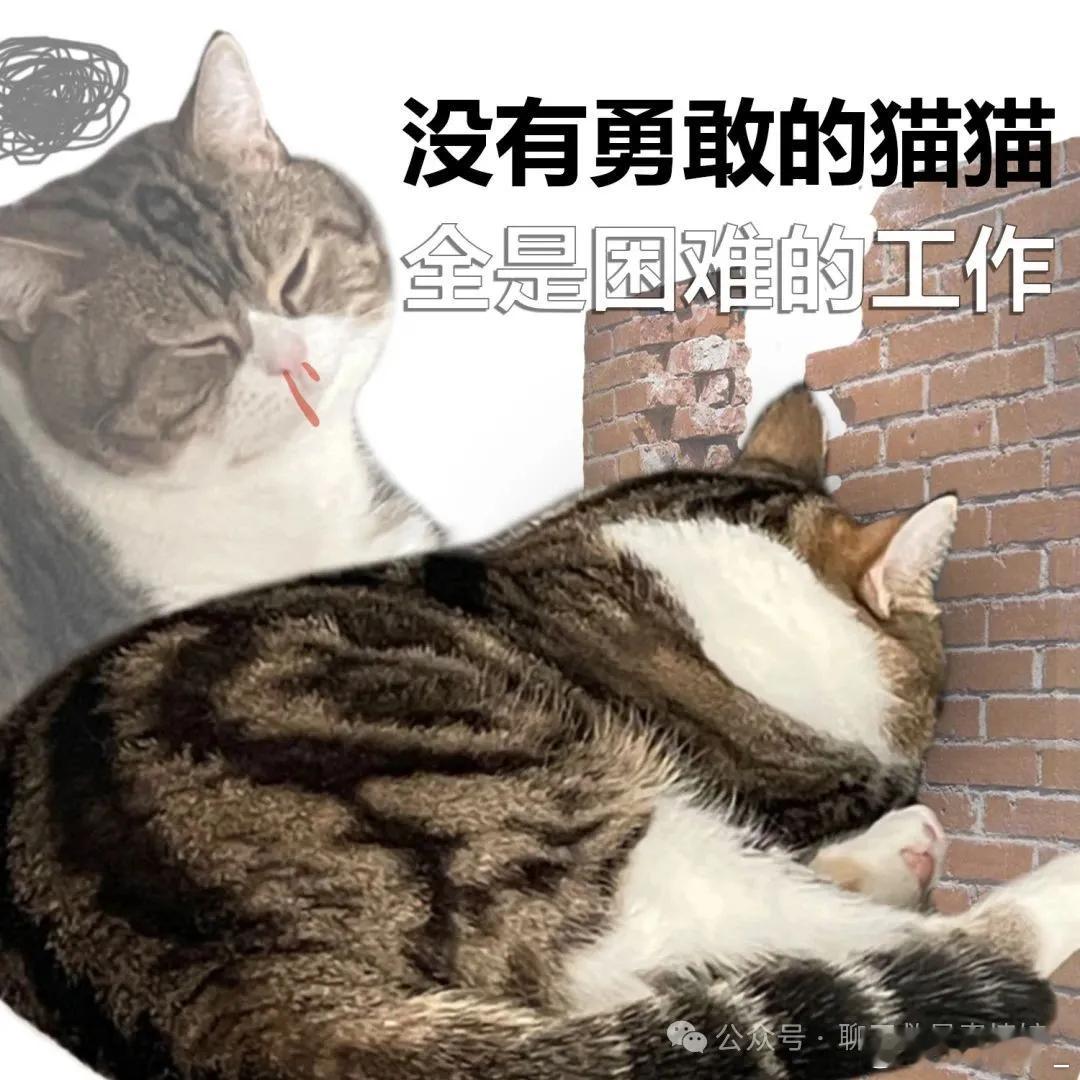 多地发文鼓励2.5天休假牛马咽气前的最终幻想🌚​​​