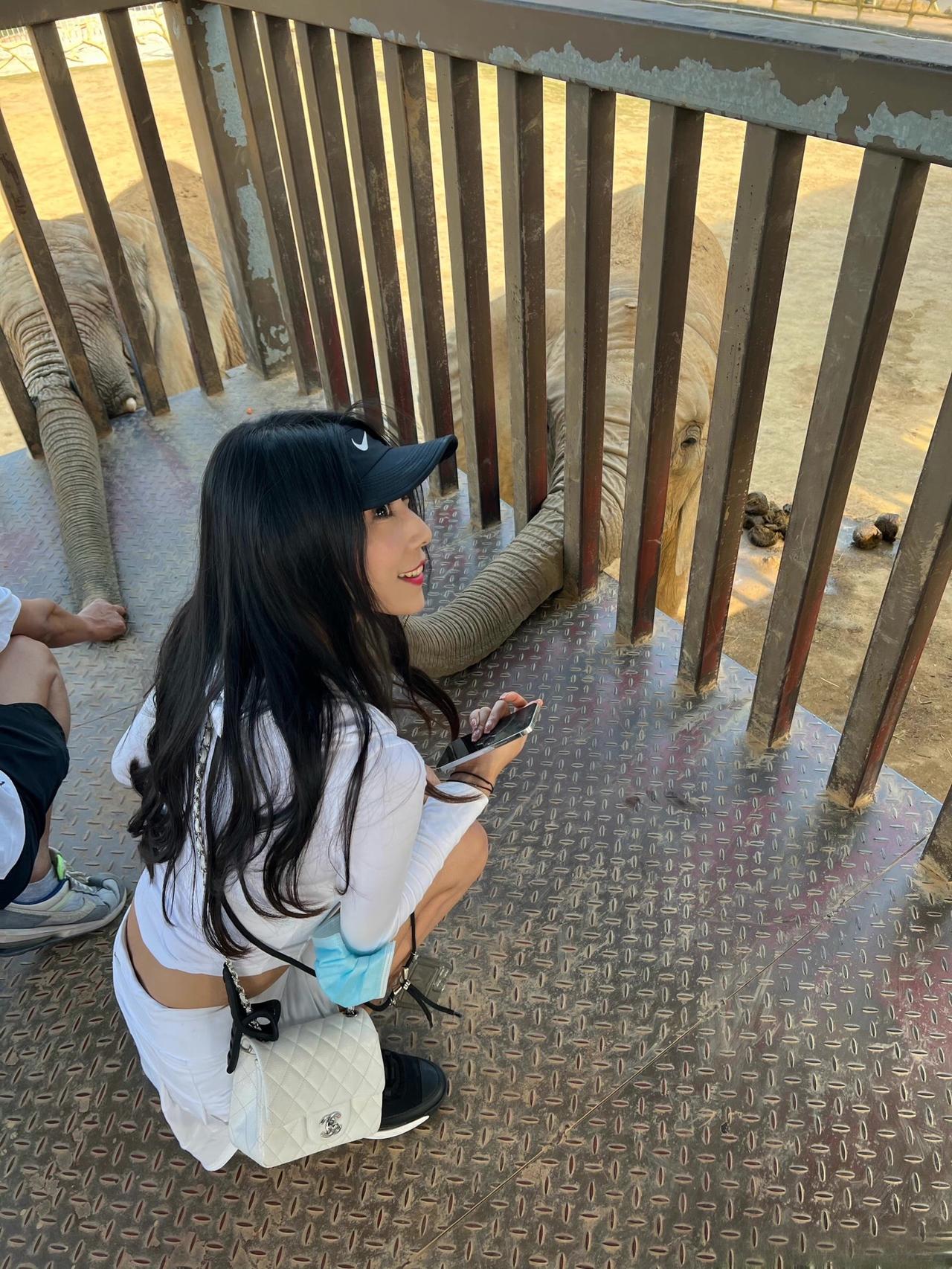 动物园里有什么？上热门穿搭动物园御姐