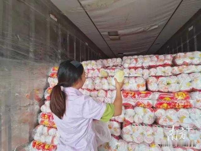 康保甲醛白菜风波扩散，多地采购商主动取消订单甲醛白菜的事最近火了。1河