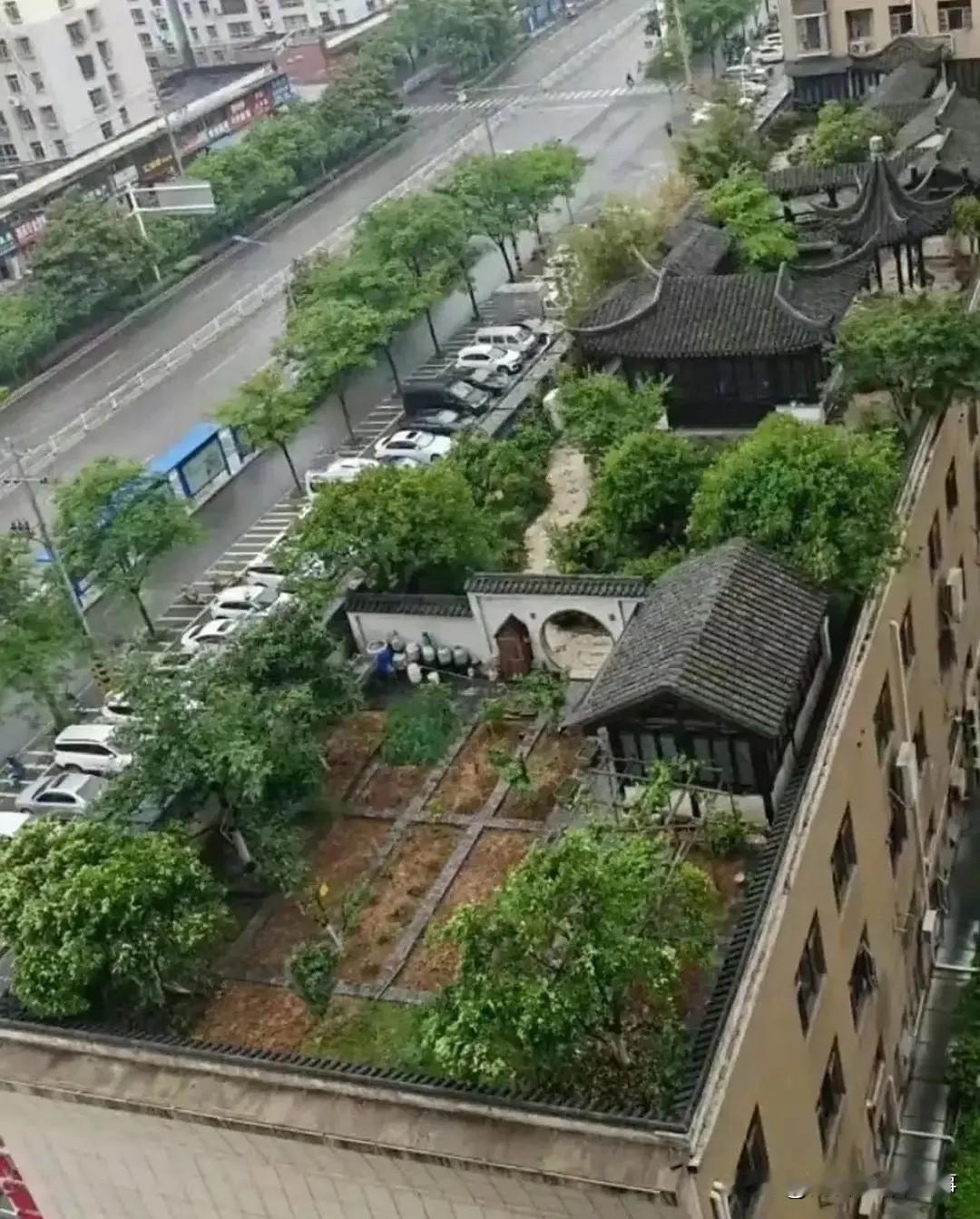 主人家这富炫得……我竟然哑口无言！