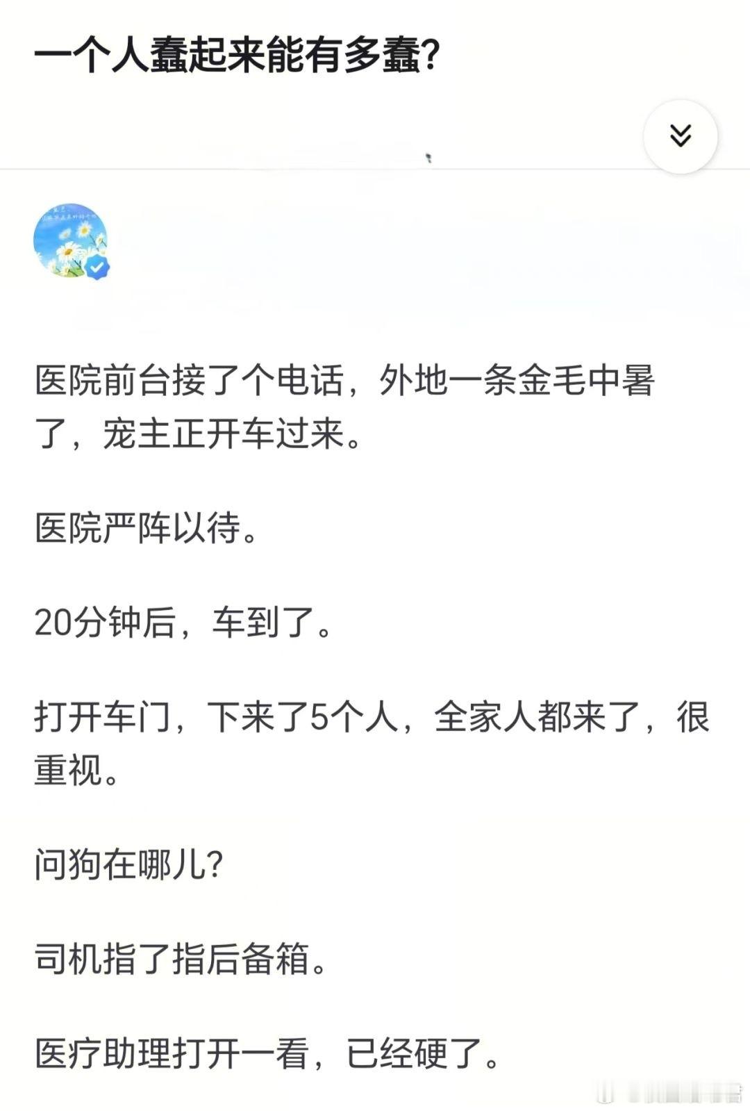 一个人蠢起来能有多蠢？​​​