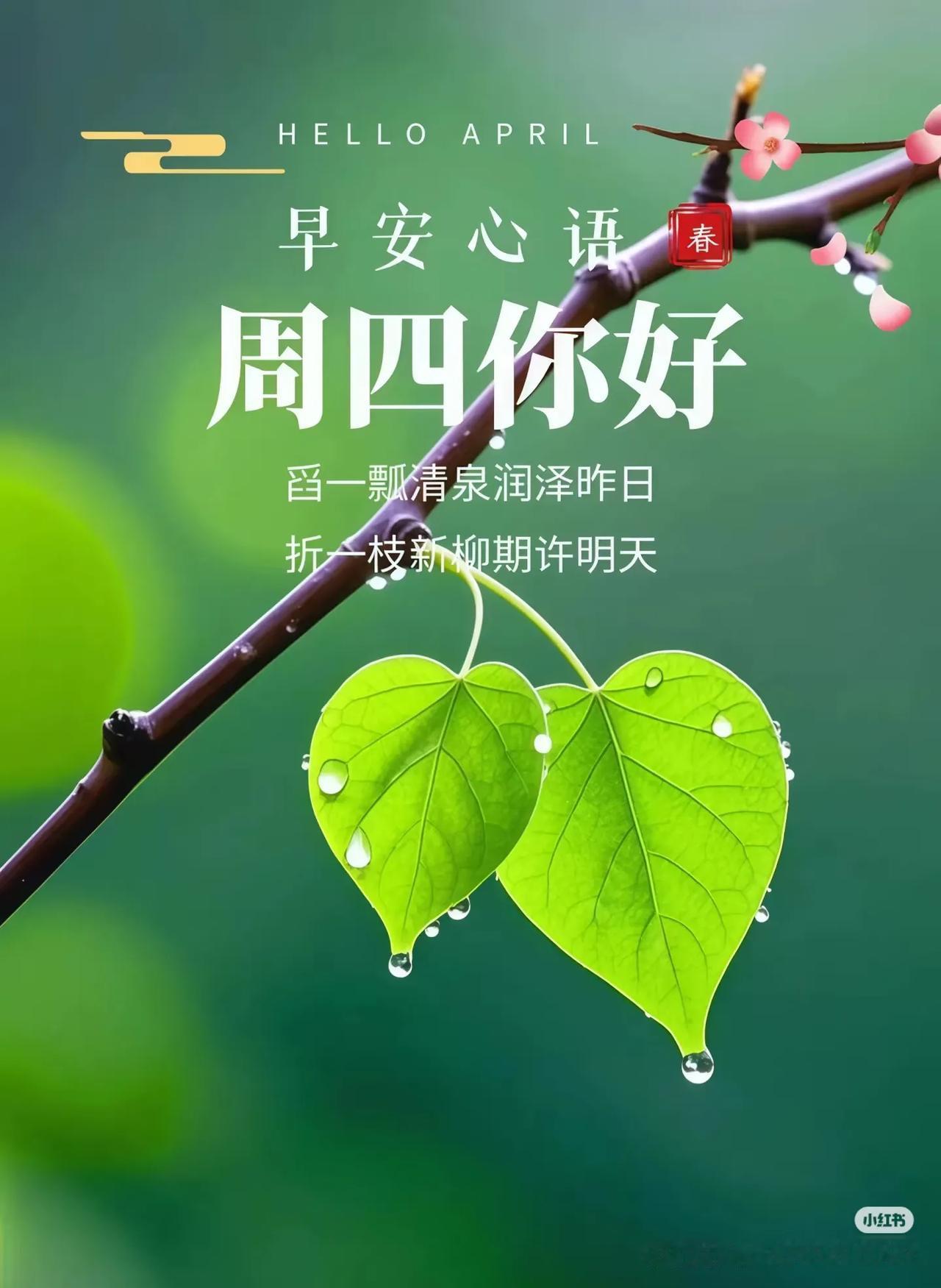 每天以乐观心态吸引好事，忘掉一切坏事，面对任何事，保持一颗乐观向上的心，愿你每天