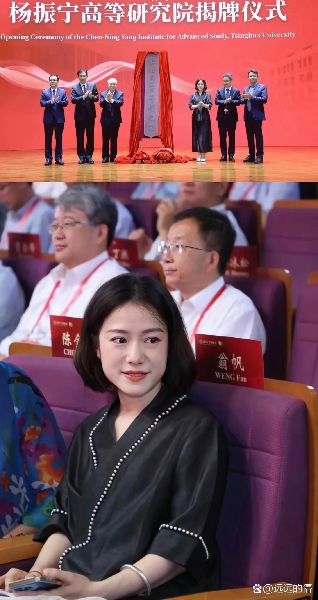 翁帆面容安详，表明内心是平静的。没有婆媳关系，没有孩子，不愁吃穿，平时就是琴棋书画，杨振宁给予的20