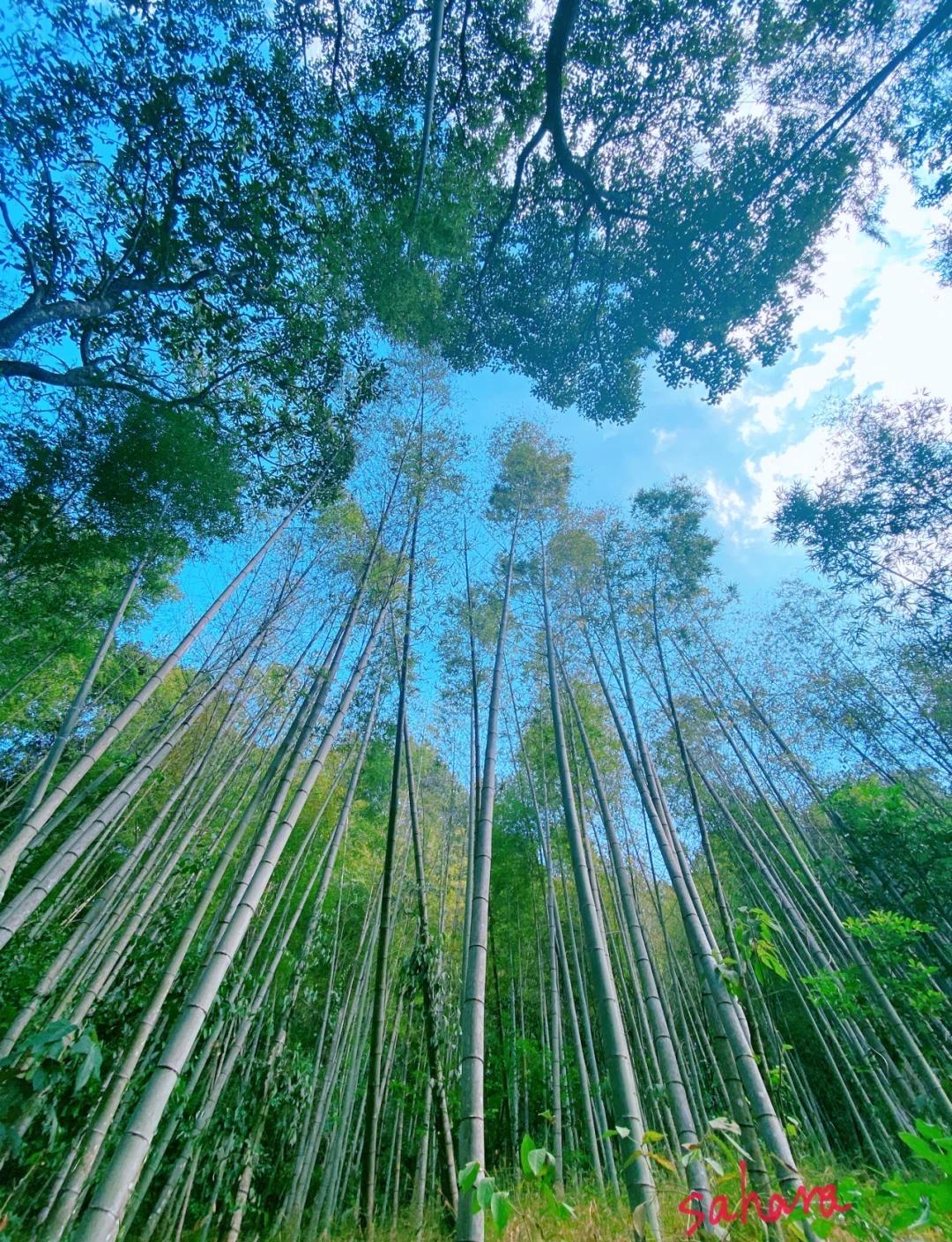 广州从化三桠塘幽谷｜2天1夜避暑攻略，藏在广州的天然秘境盛夏广东酷热难耐，想