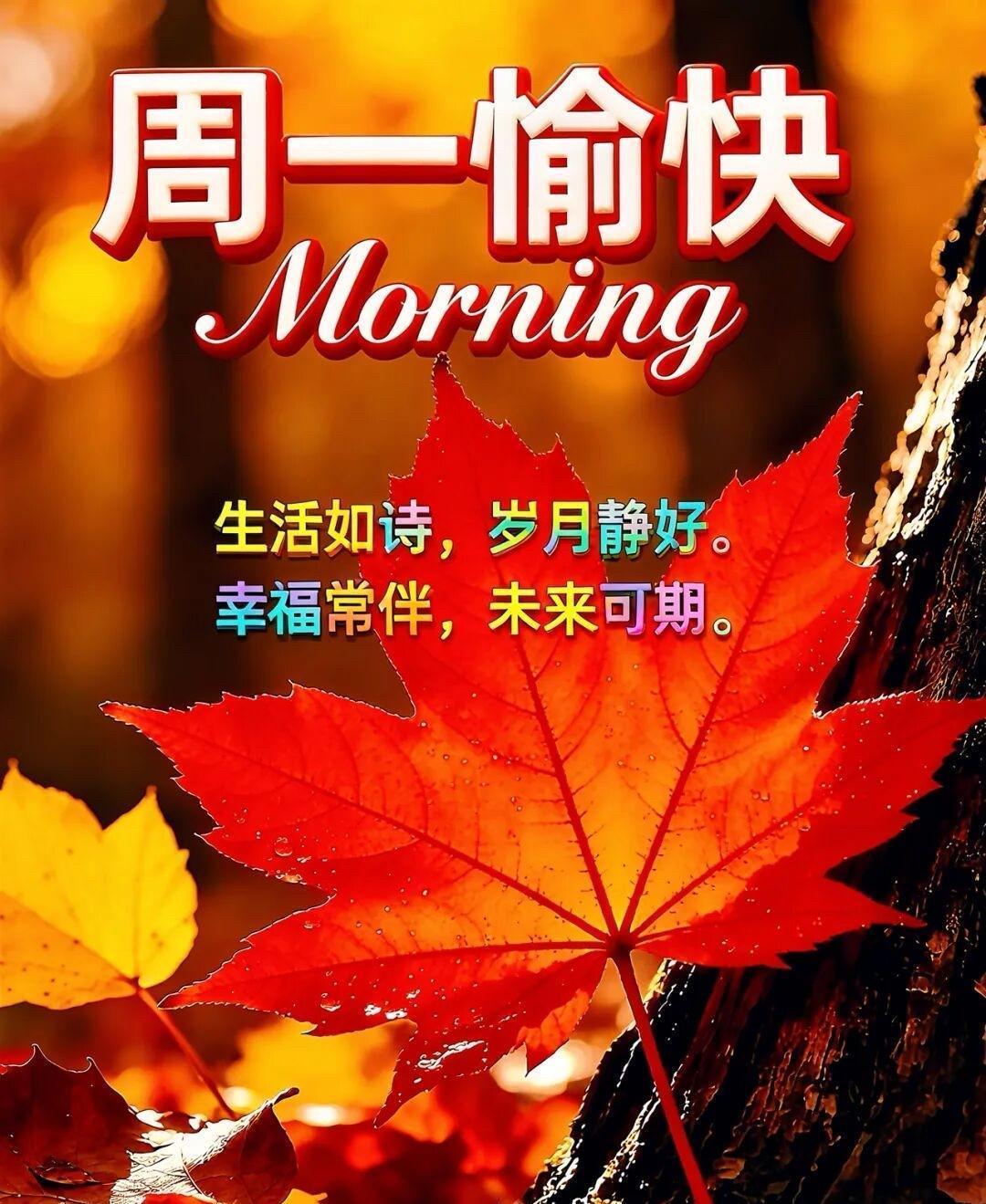 ²⁰²⁵/₁₂.₀₁🍃晨语🌞时光清浅，岁月无言，十一月带着深秋的余韵与诗