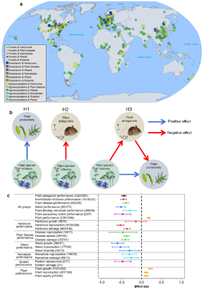 华理团队联合中外科研人员揭秘农田生态新秘诀