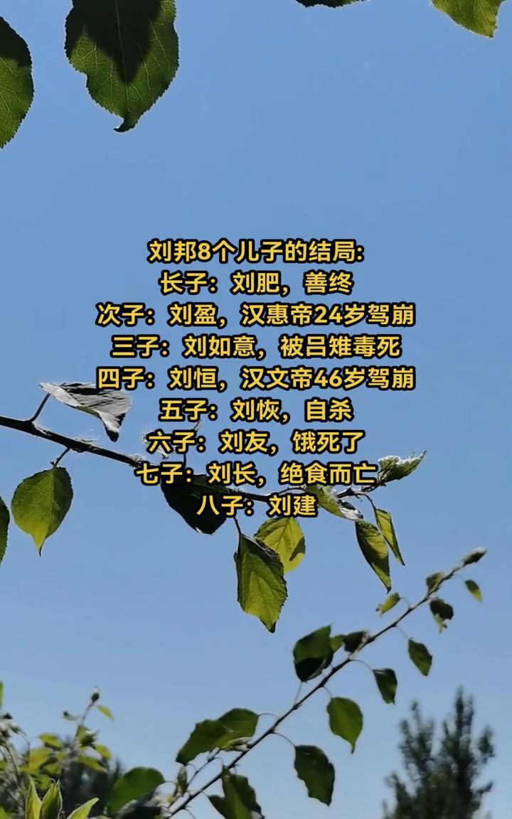 刘邦8个儿子的结局：·长子：刘肥，善终。·次子：刘盈，汉惠帝24岁驾前。·