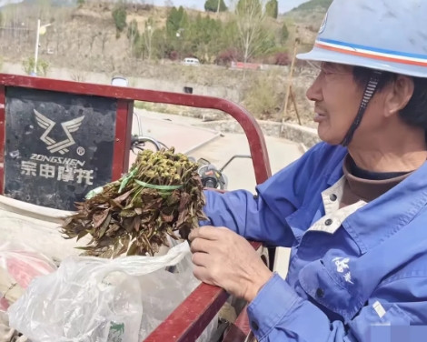 在淄博博山，偶遇一位超实在的大哥！昨天去博山赏桃花，正看得入神，一辆三轮车“吱呀