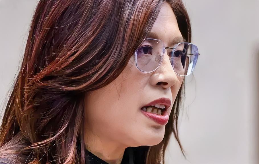 郑丽文6月8日在一场座谈会上声称，“改善两岸关系不代表台湾会放弃自身吓阻能力，国