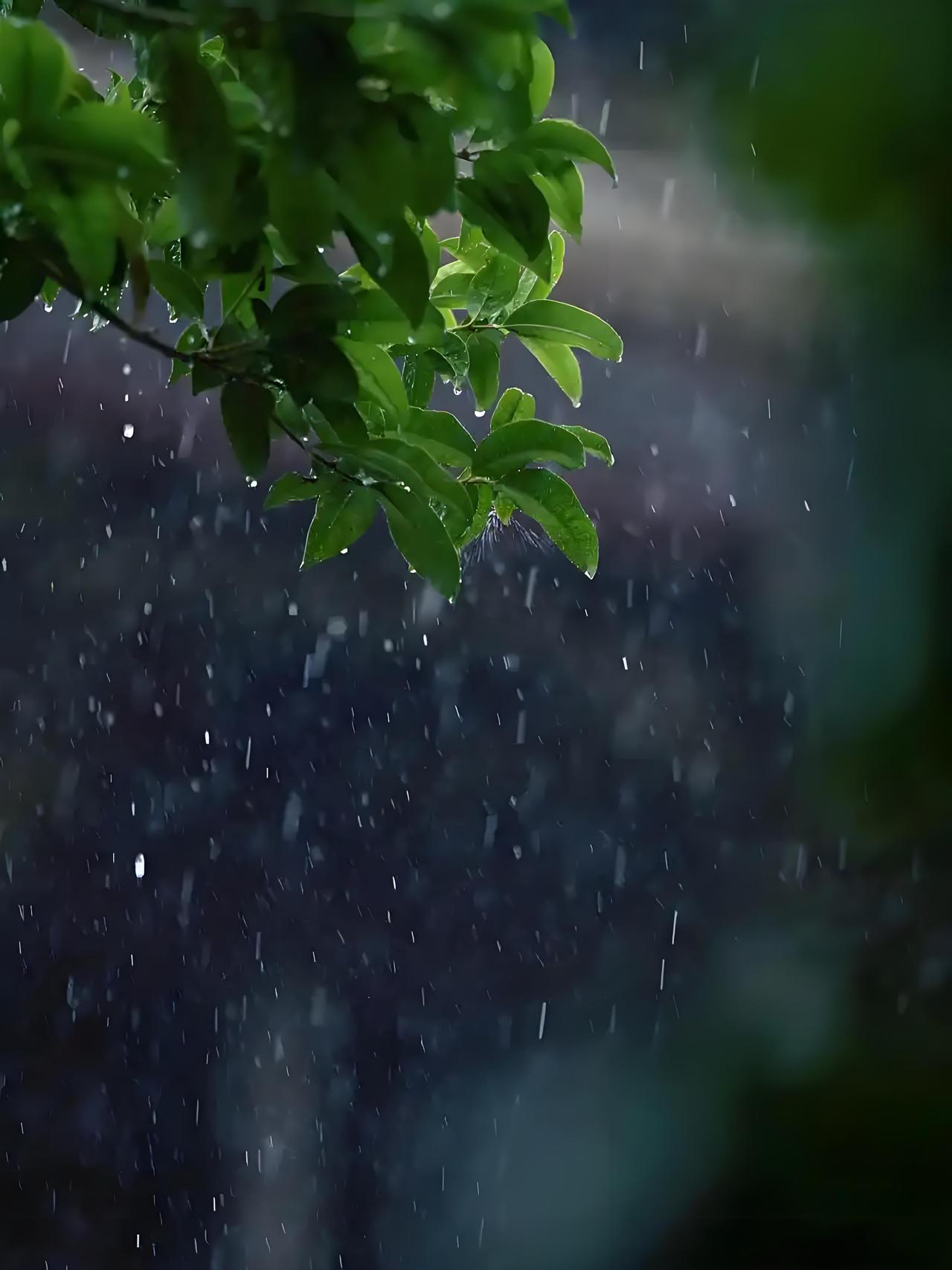 深圳这个夏天，连老天爷都在帮我们省钱。楼下大姐跟我说，她干这行这么多年，头一