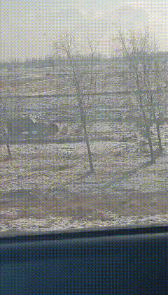 这人得多闲，开车上地里当屎壳郎去，还让屎（草卷）卡住了！[捂脸哭]开...