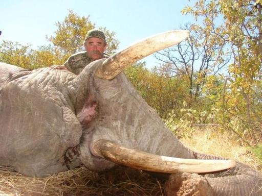 顶级富豪的快乐你想象不到，就连死法你也同样想象不到。2026年4月17日，75