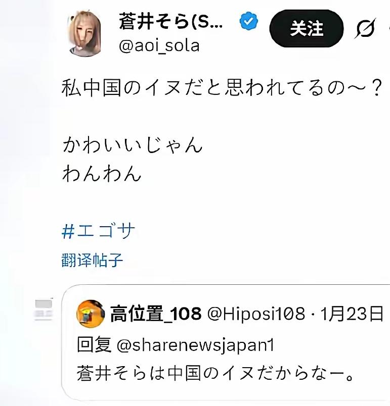 日本网民骂苍井空是中国的一条狗，苍井空回应，汪汪汪那挺可爱。中日