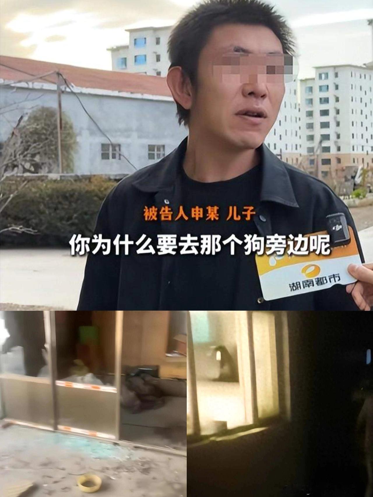 狗咬人新后续：申家儿子不在原因流出，原告曾对警方说打完架再谈！说实话，