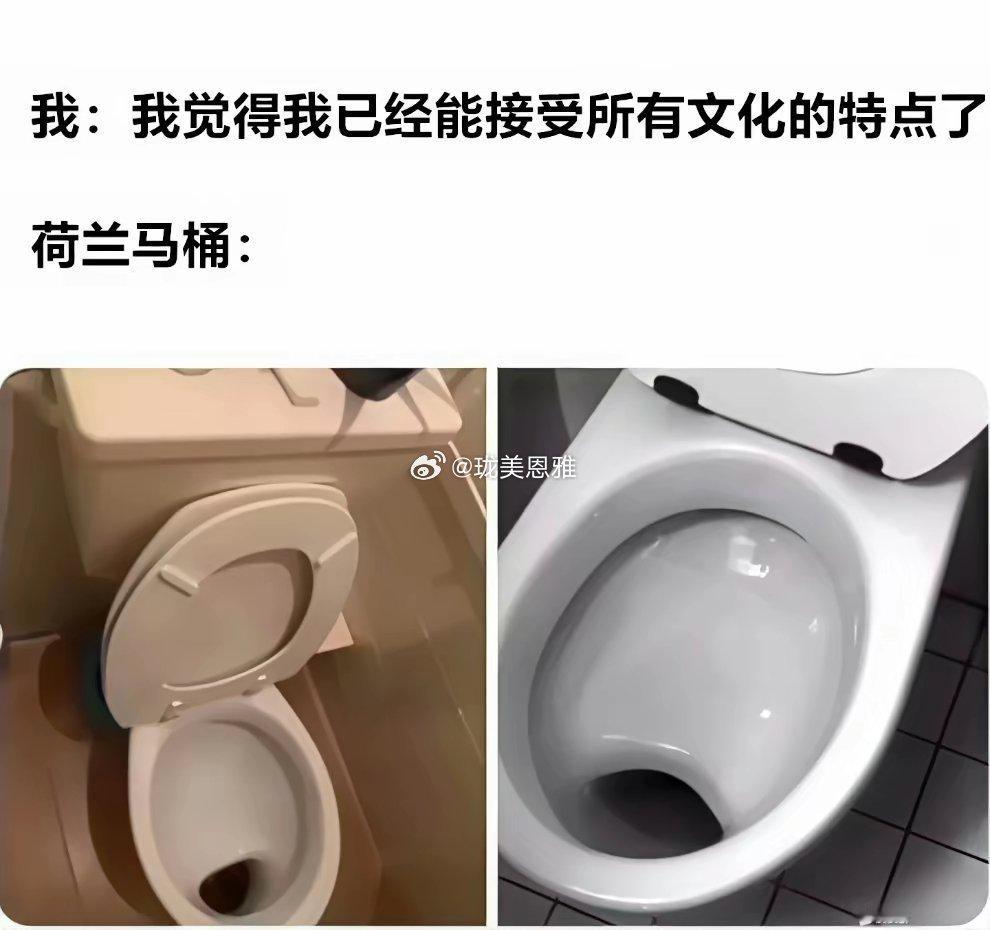我靠！有去过荷兰的吗？真是这样的？