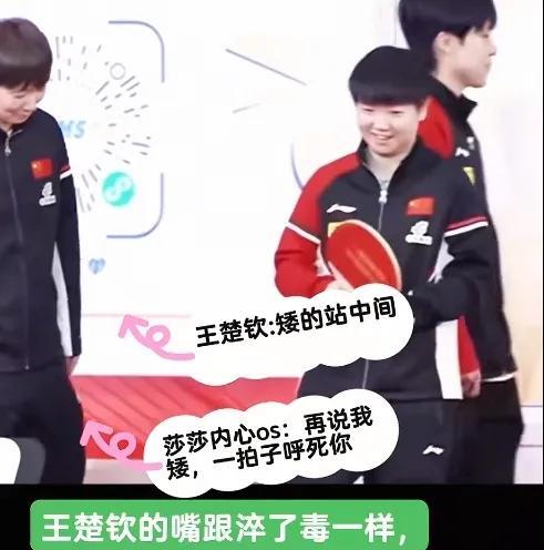 大头：个儿矮的站中间！莎莎：再说一句呼亖你！曼昱：这么多年还带你俩，大头：