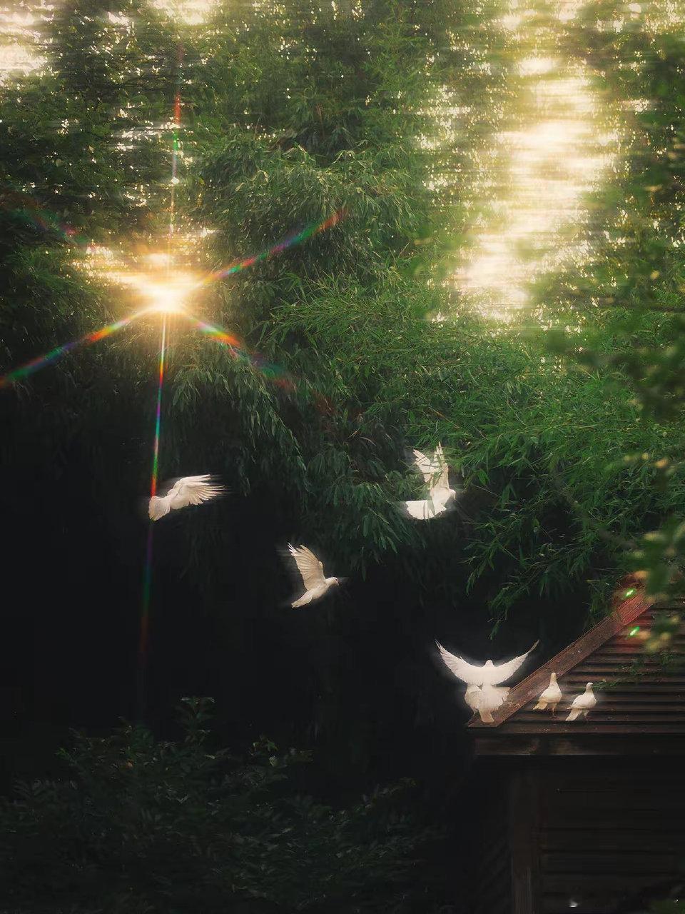 勇敢就是接受发生在你身上的事，并把它尽力做到最好。2026，祝所有朋友新年快乐