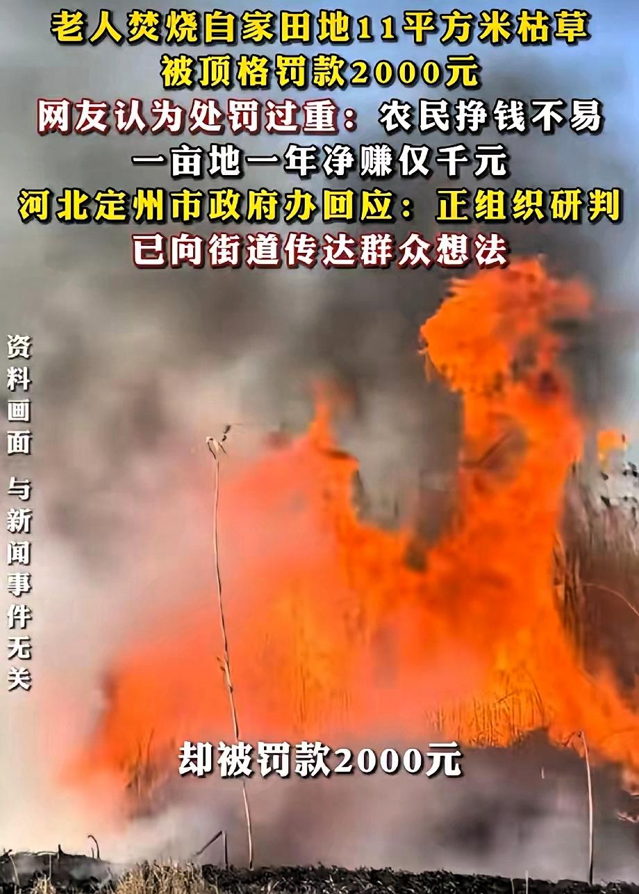 听说了吗？河北定州那位61岁的老农民，在自己地里拢了拢枯草树叶，拢共也就11平米