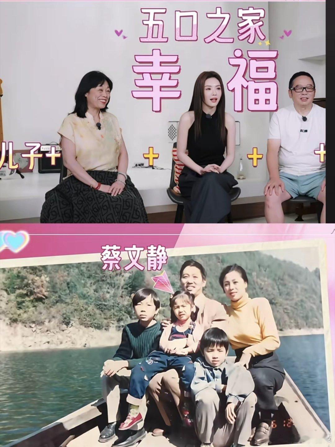蔡文静的家庭成员，只有她跟家里所有人有血缘关系爸爸，蔡海龙，是一名中学老师，在湖