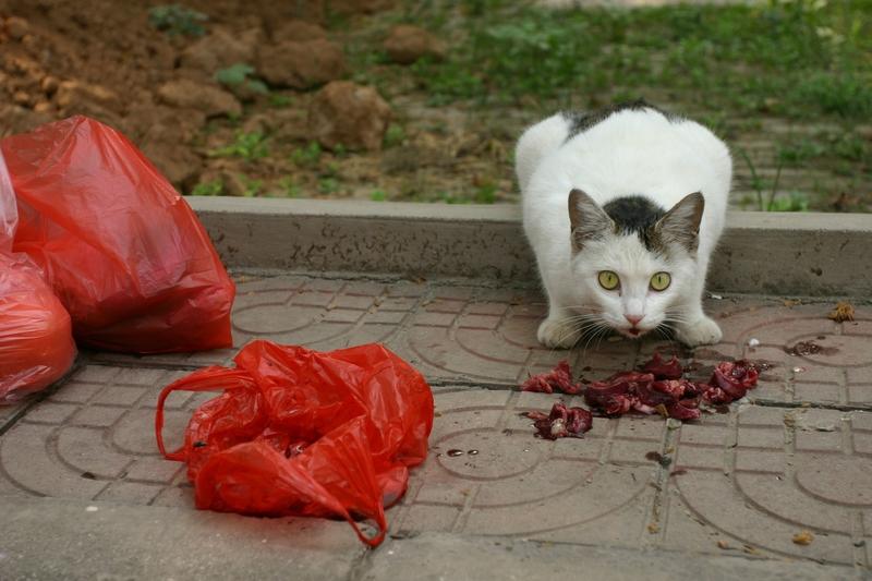 成都84岁的姜老太，那15万元养老钱就像她晚年生活的“救命稻草”，却被67岁的亲