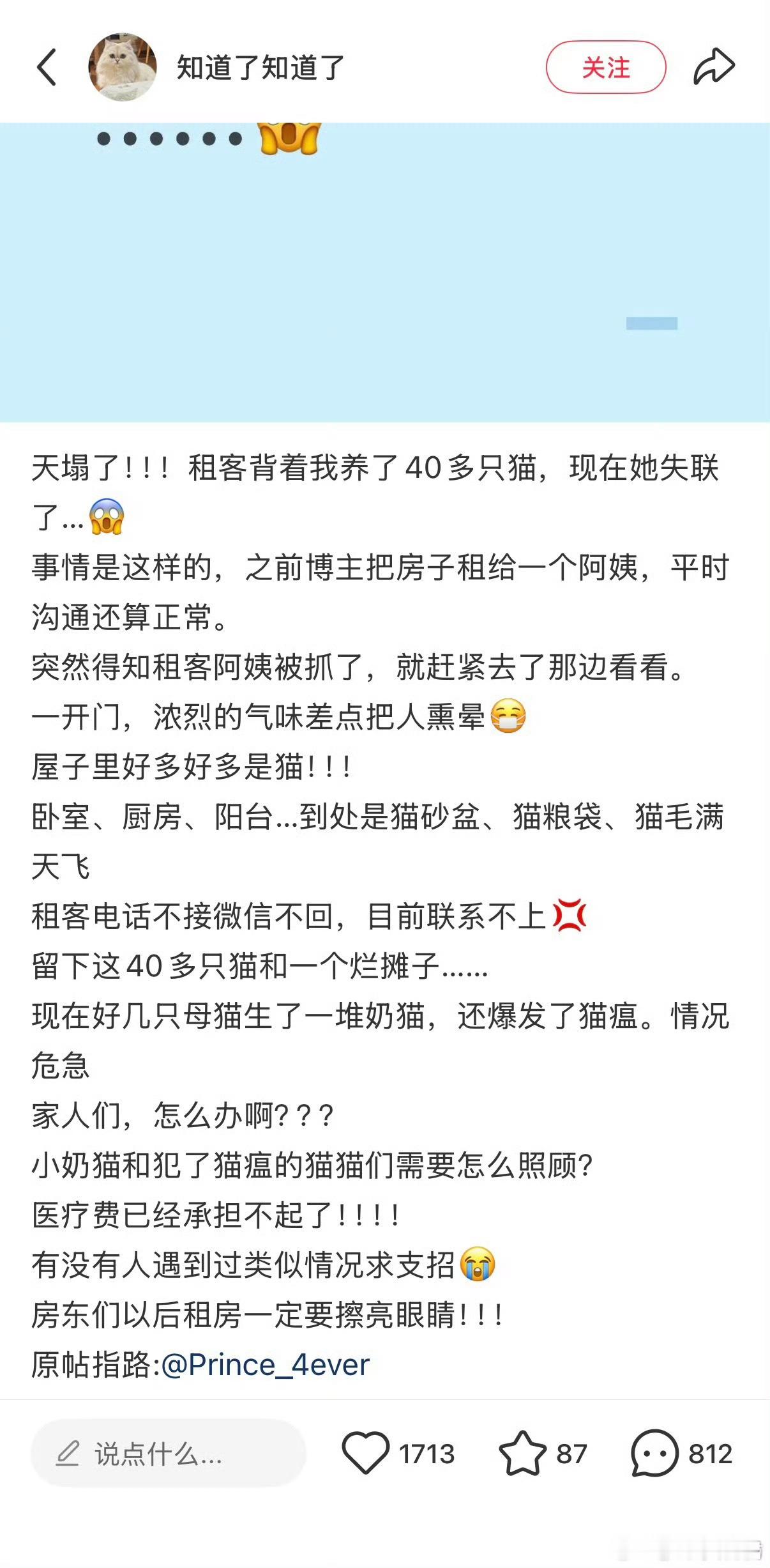 租客养了40只猫失联了