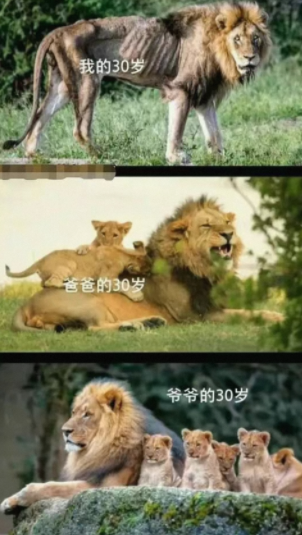 装满塑料袋的塑料袋