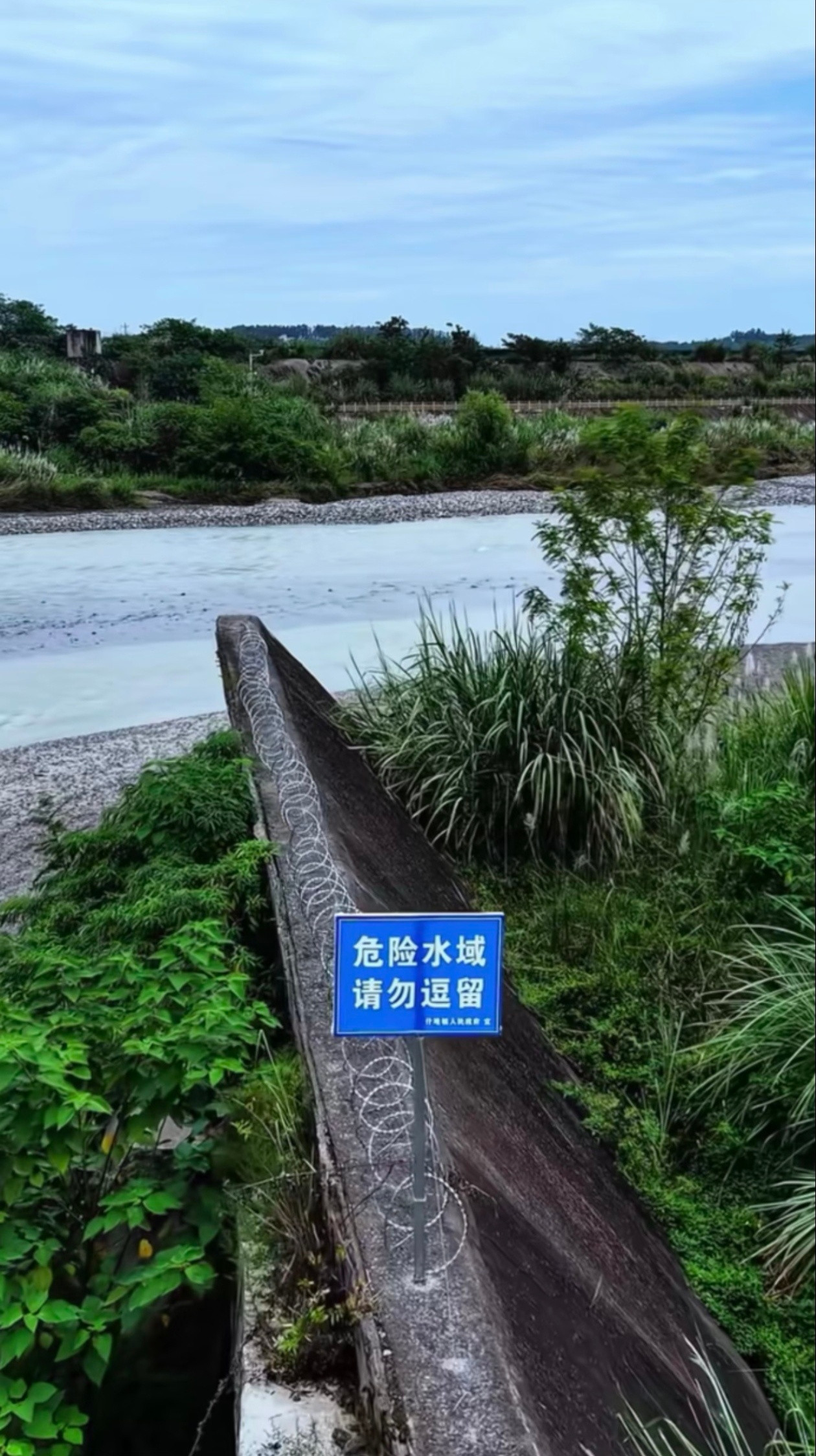 感觉有些时候有些人吧，为了出片已经癫了……刷到德阳绵竹某芦苇地里有一节断桥成了网