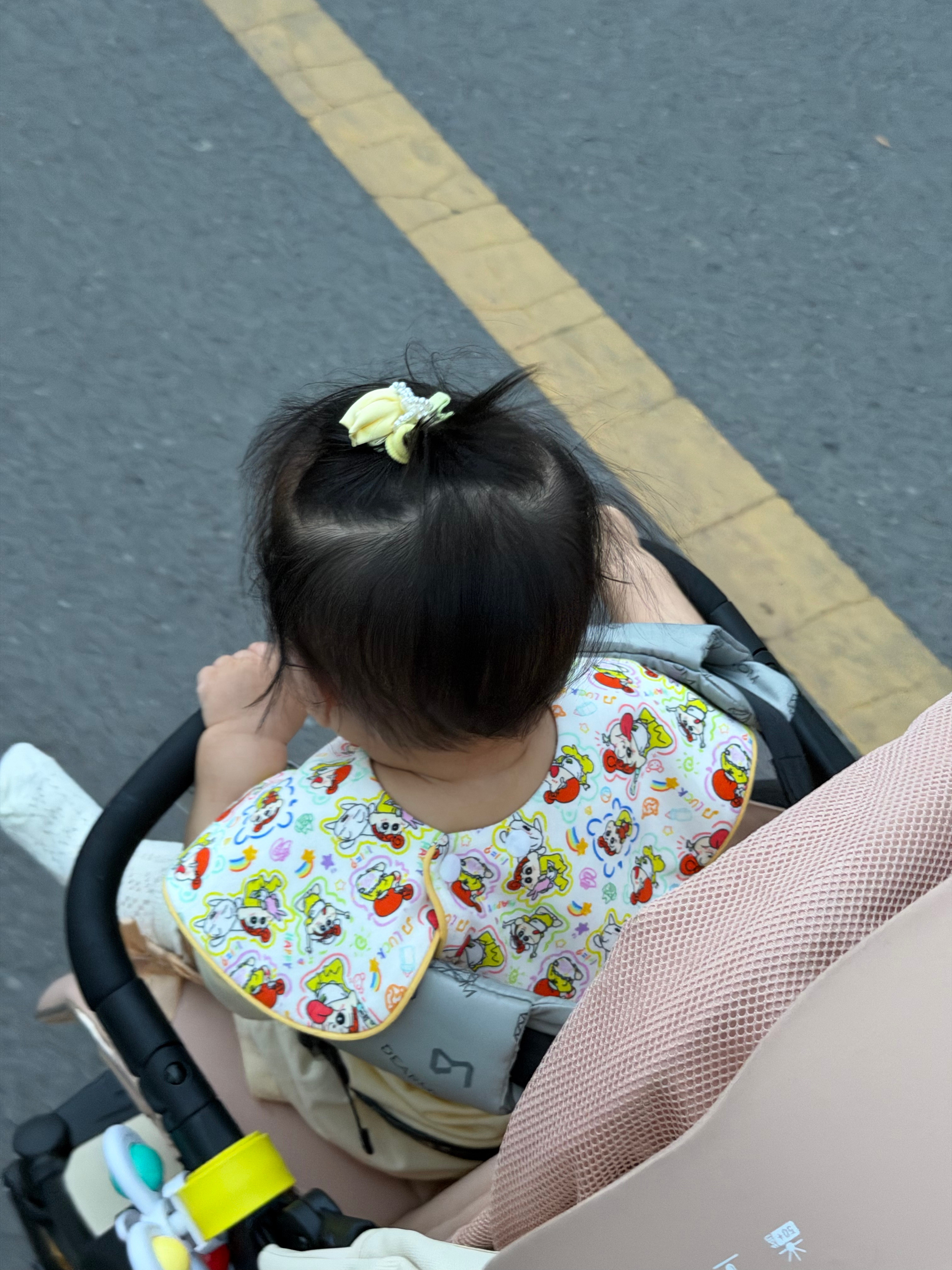 带神兽出门了～看起来挺开心的，希望在外面多待会儿。