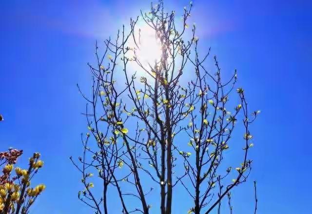 想让自己过得更好，有不少实用方法。可以善用“预期效应”，每天起床或出门前，对自己