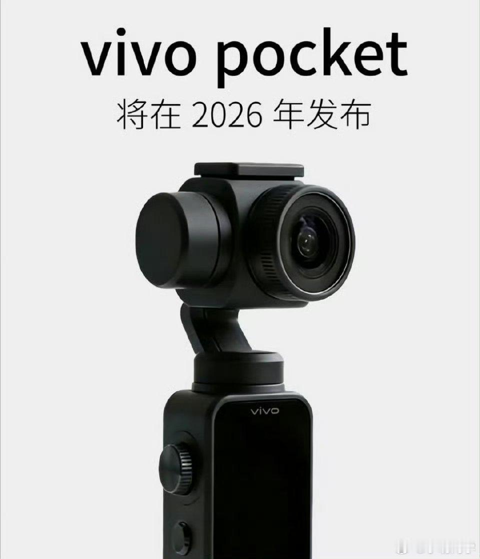 据说vivo明年会推出pocket产品，另外oppo也会加入进来。手机厂商拥有更