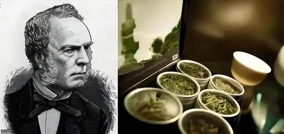 核心技术保密到底有多重要？看看19世纪的茶叶就知道了！英国人福钧深入大山，记录下
