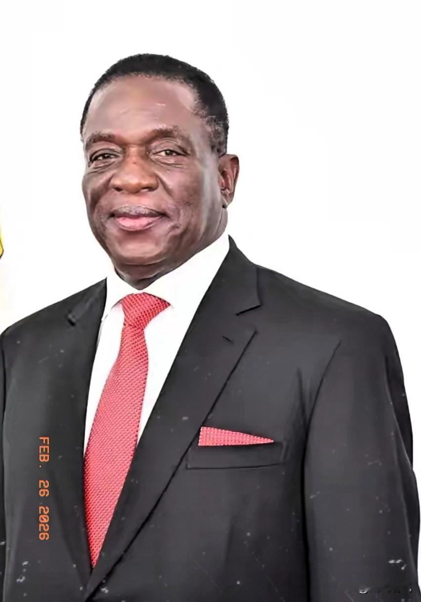 津巴布韦这一纸锂矿出口禁令，直接把国内锂产业链的生死线划死了！没有缓冲，没有过渡