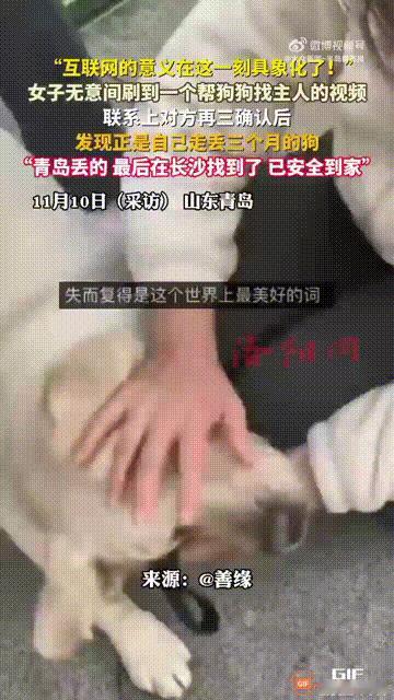山东青岛一名女子在8月13日不慎丢失了心爱的小狗，因此她找遍了青岛的流浪动物救助