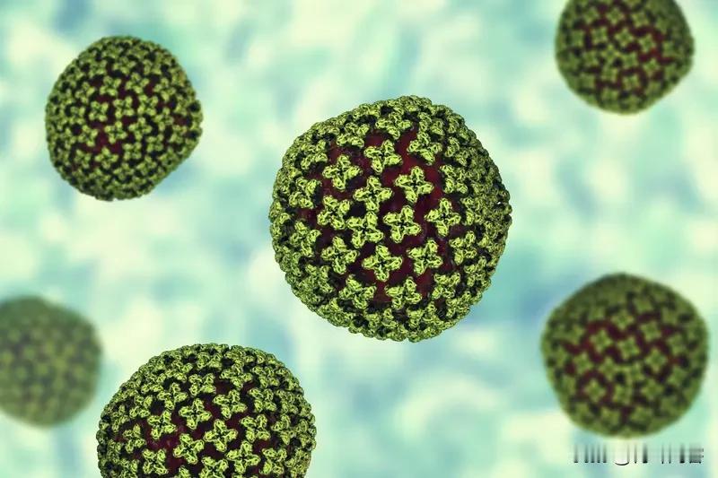 尼帕病毒挺可怕的，要应对和预防得重视起来。应对方面，一旦出现发热、头痛、咳嗽等可