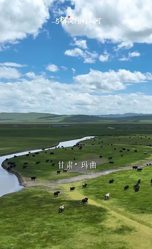 与辉同行甘肃宣传片新鲜出炉了，妥妥的一部唯美的草原纪录片呀，讲述着草原雄鹰和
