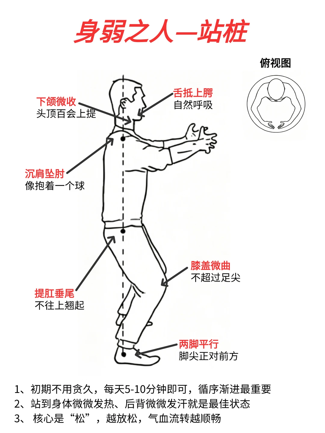 身弱之人去站桩❗打开站桩的正确方式……
