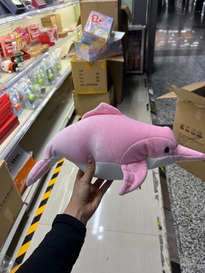 买到可以变真身的大湾鸡了