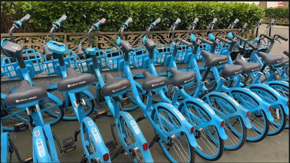 哈啰还是胆子大之前315曝光哈啰租电动车的问题，套牌、囤牌，超速，电池超标。这