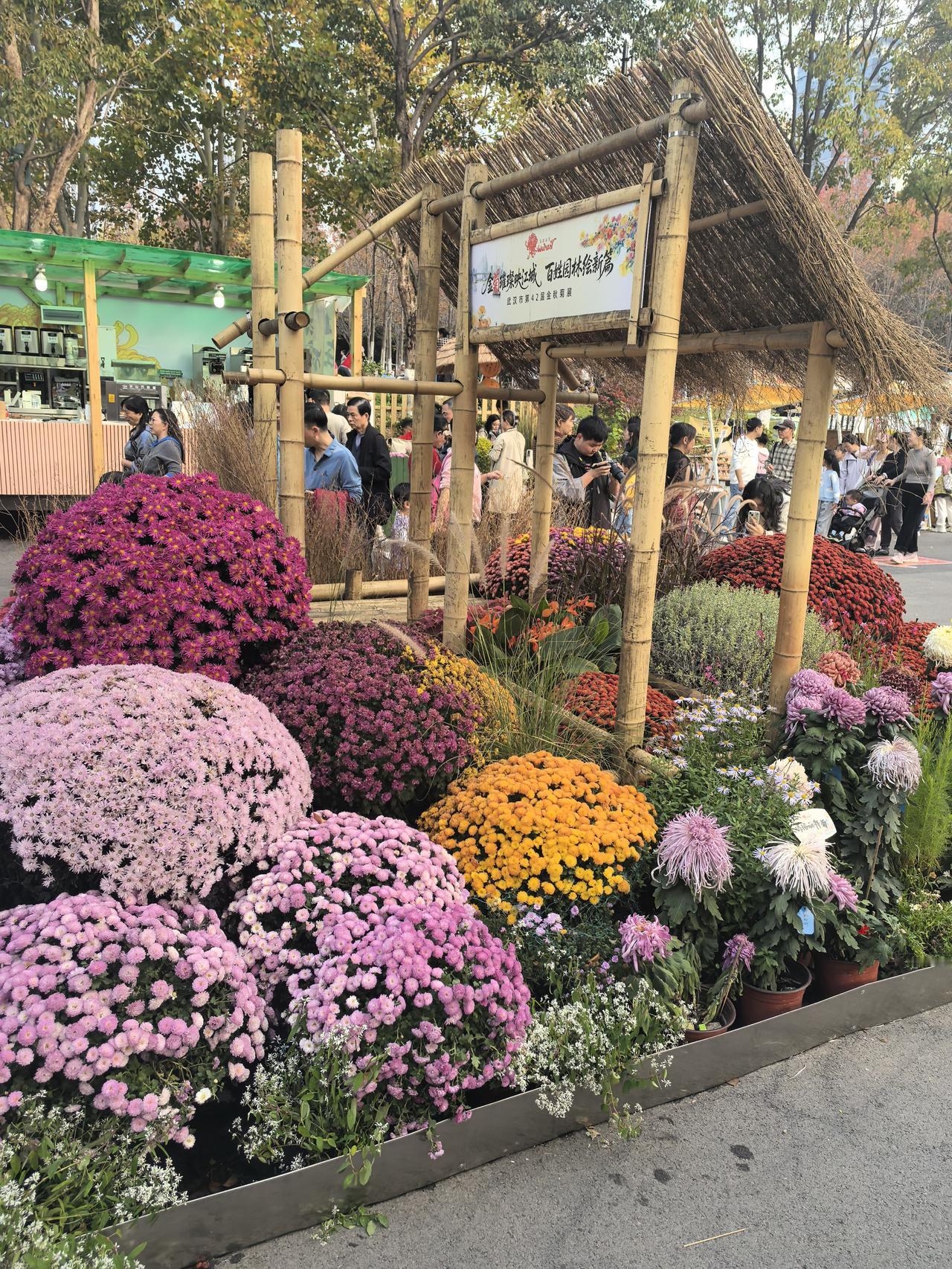沙湖公园的菊花展人气爆棚，各种样式的菊花被编织成各种造型，成了周末打卡游览的好风