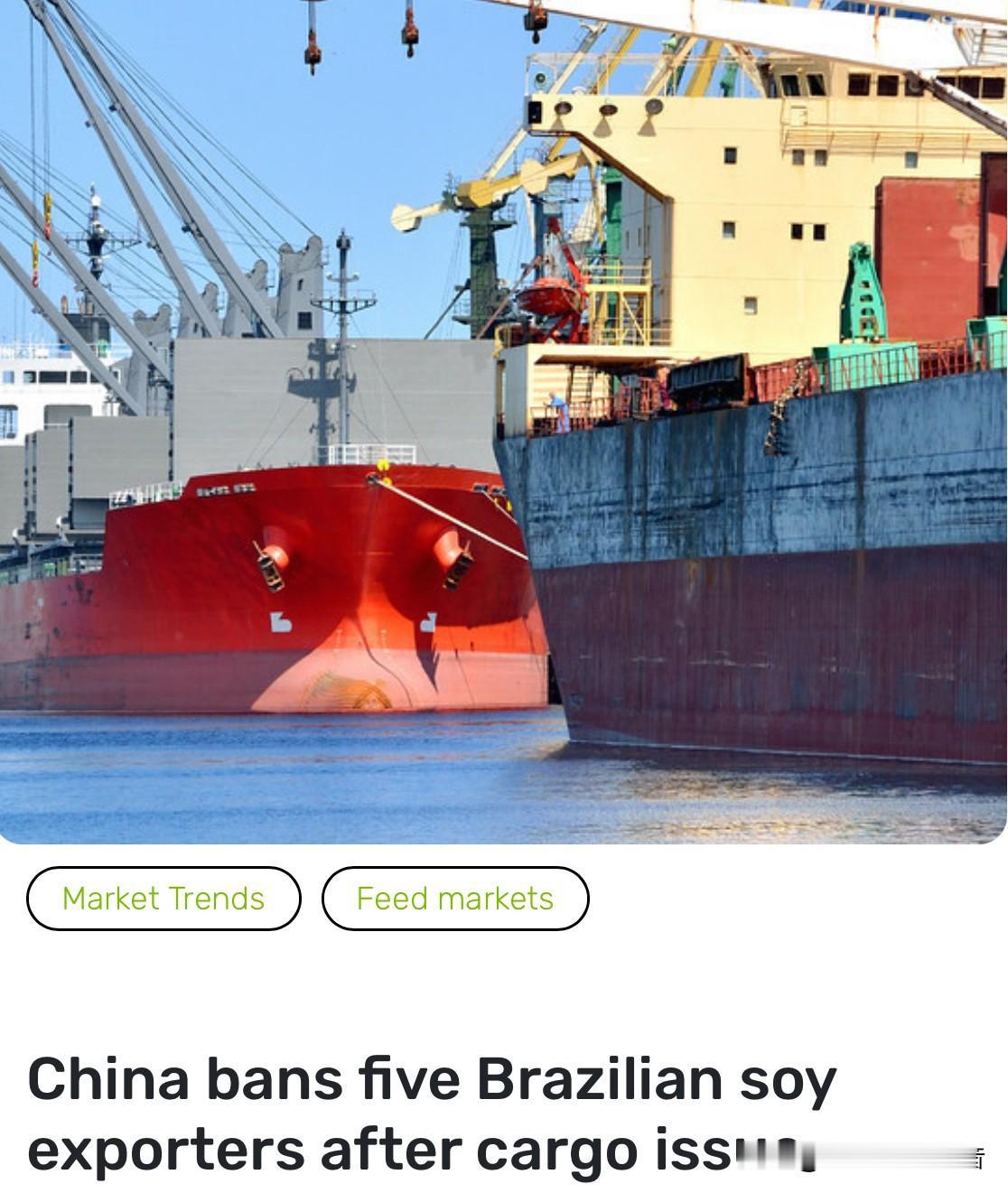 外媒：中国禁止五家巴西大豆出口企业向中国出口大豆！路透社报道，巴西农业部已接