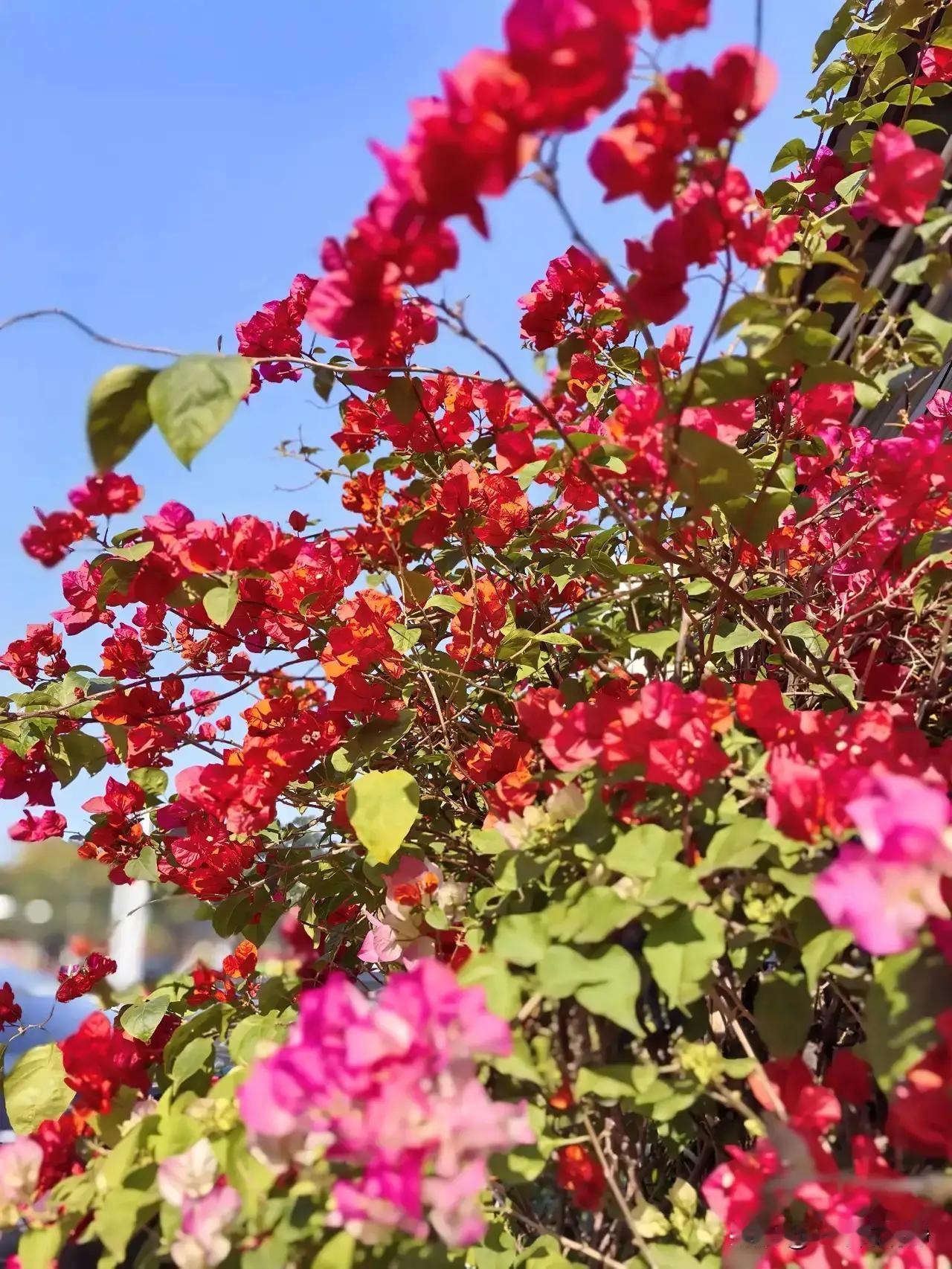 三十年后的我呀，愿那时回首过往，仿佛站在巍峨的高山之巅，俯瞰人生的滚滚洪流。岁月
