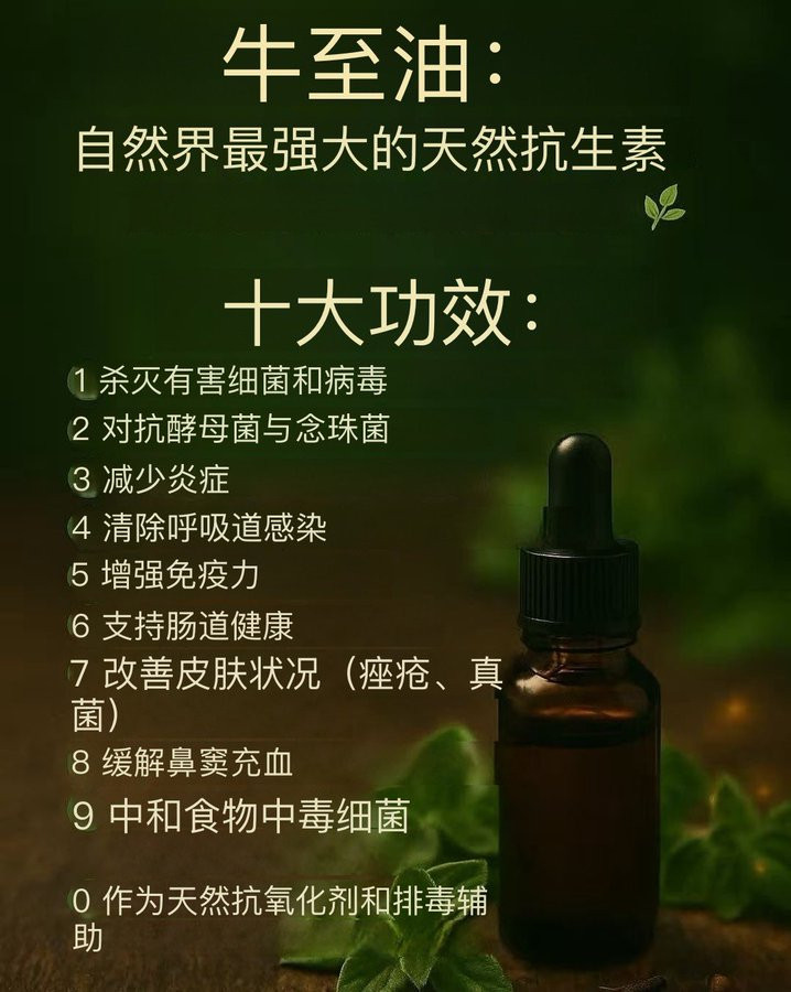 🔥大多数人根本不知道牛至油的功效有多强大……这小小的一瓶药水是大自然最强大的防