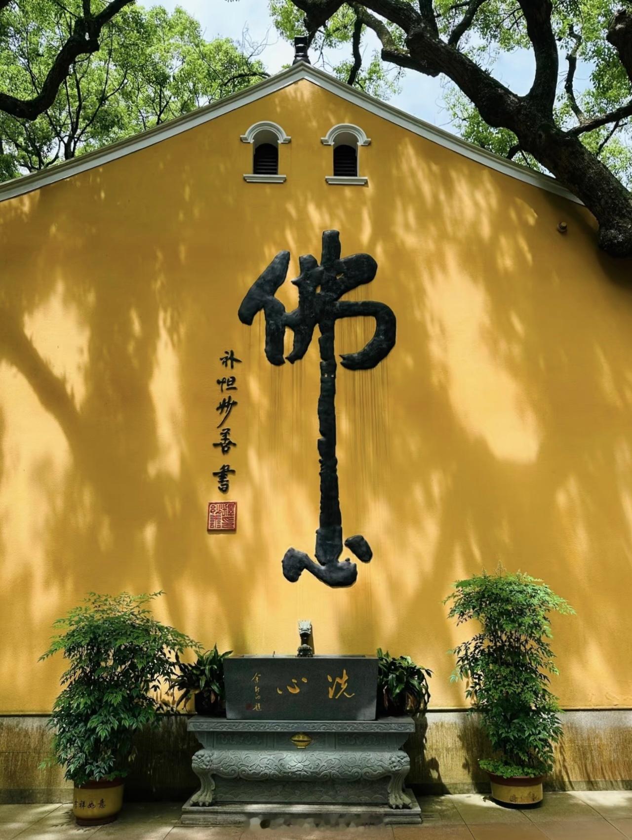 这次从普陀山回来有了很多新的感悟.内心变得平静了许多放下了很多执念.突然顿悟