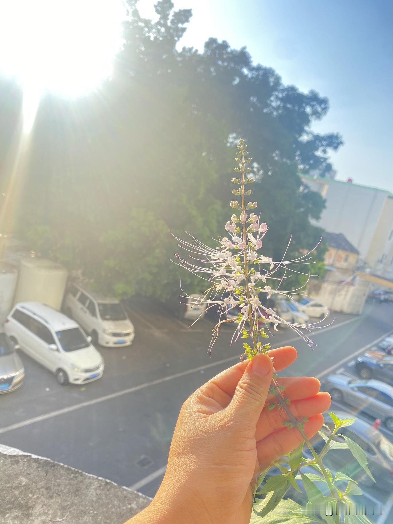 生活里哪能天天顺风顺水啊，烦心事就跟下雨似的，说不定啥时候就来一阵。就像开车遇上
