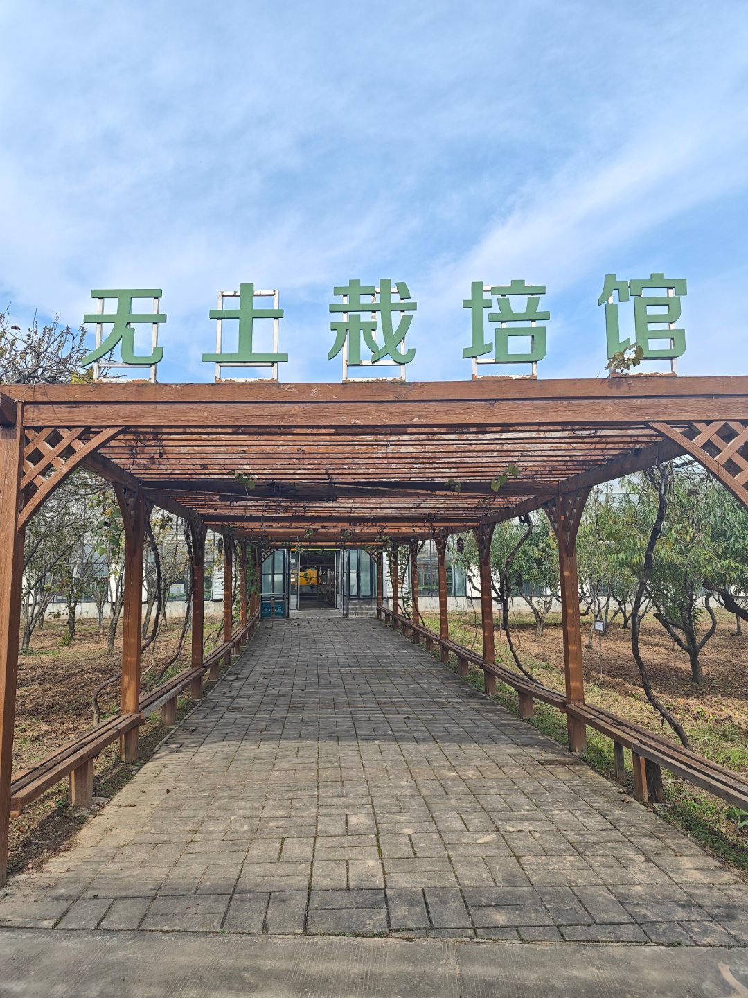 无土栽培，一点病虫害都没有。🌚🌚🌚​​​