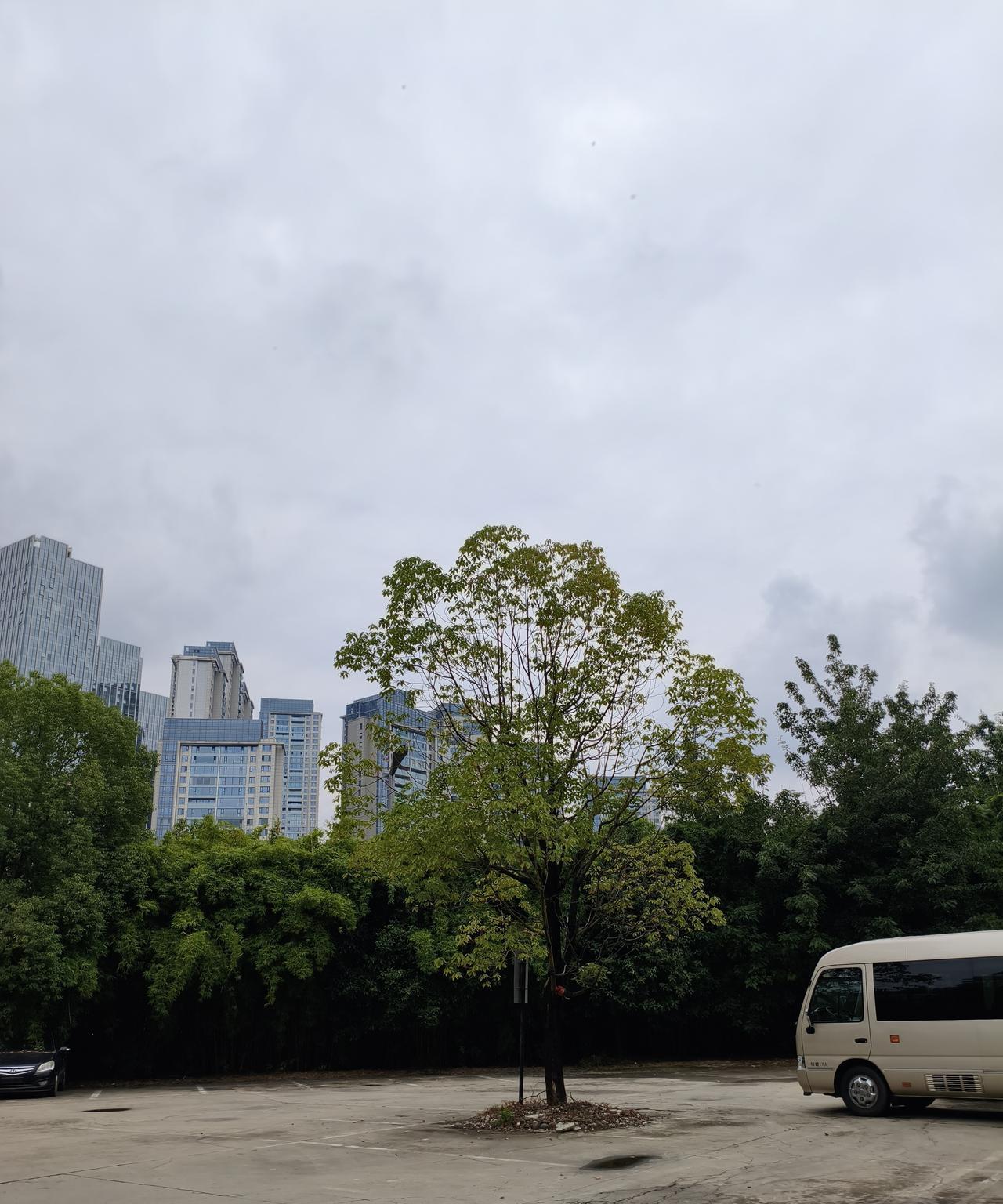 单边通勤150公里，每天回家是什么体验？朋友在乡镇工作，但是他家在省城，他每天来