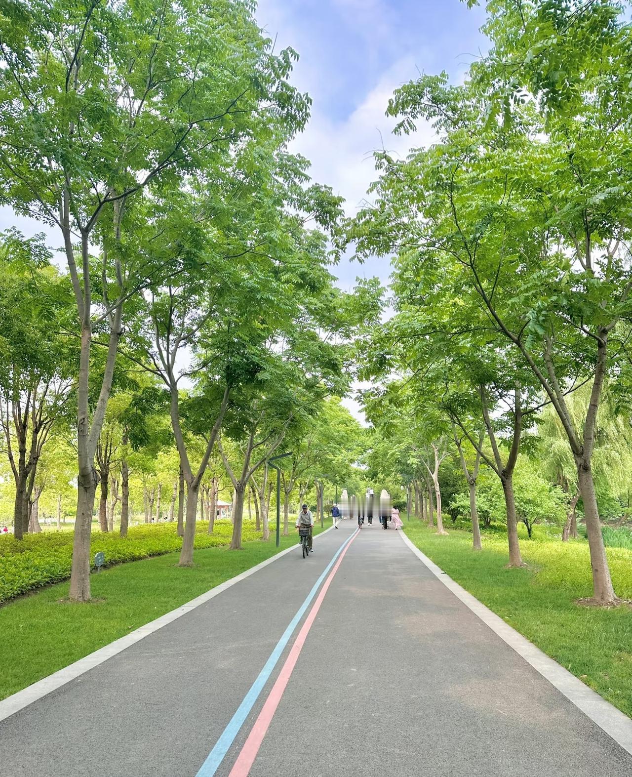 给月薪不足1W普通人的5条建议：1.先保命再谈理想别为了“面子”或“潜力