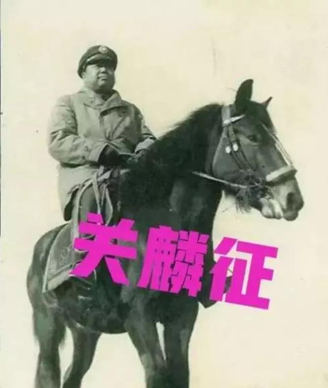 1938年的鲁南大地，台儿庄的焦土还冒着青烟。日军作战室里，坂垣征四郎捏着作战地