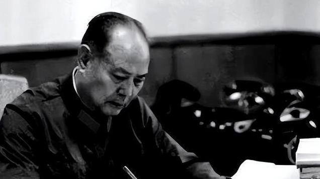 1969年叶剑英下放长沙,迎接的少将怒骂:忘恩负义的东西