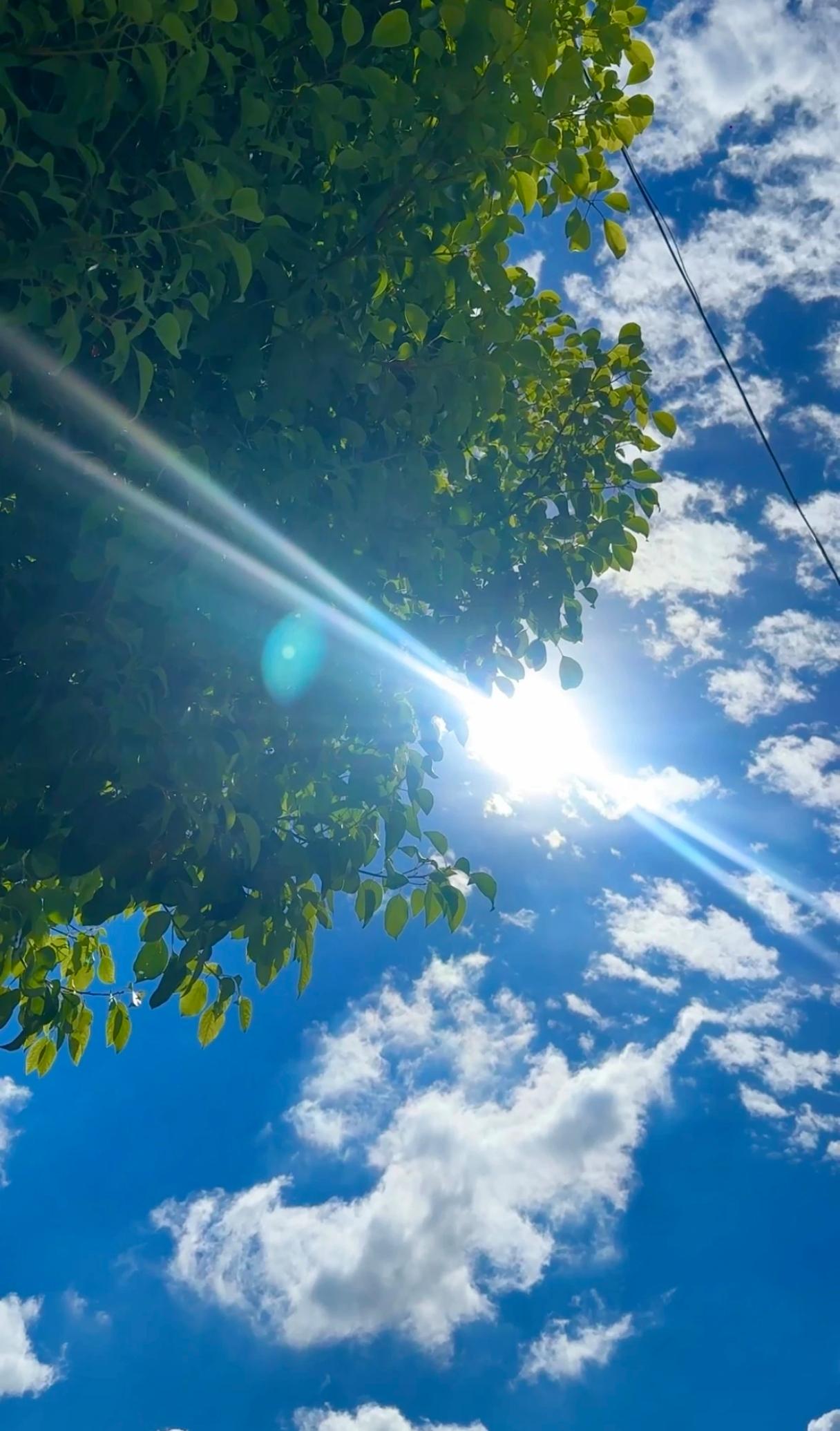 想问大家个生活小问题：你会洗头吗？早上洗头好，还是晚上洗头好？看过来：[